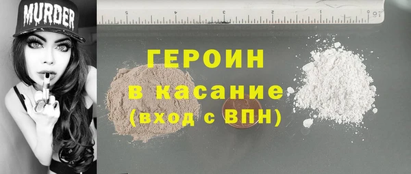 индика Новодвинск