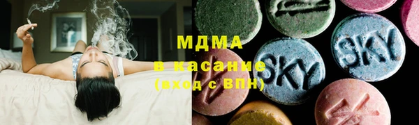индика Новодвинск