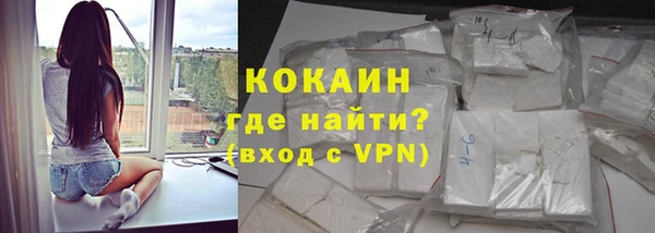 гашик Новокубанск