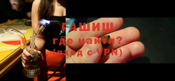 индика Новодвинск
