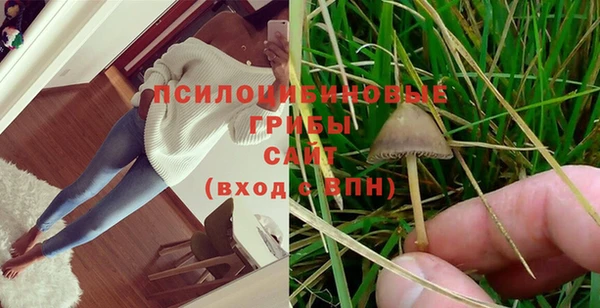mix Пыталово