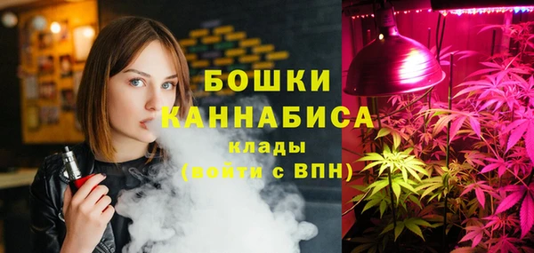 индика Новодвинск