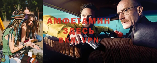 индика Новодвинск
