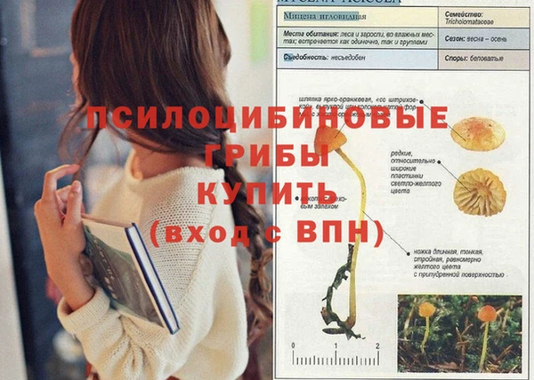 дурь Нязепетровск