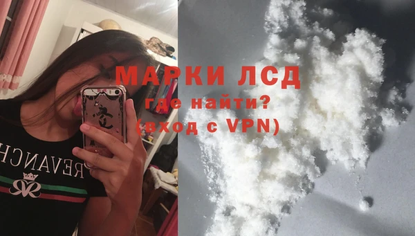 индика Новодвинск