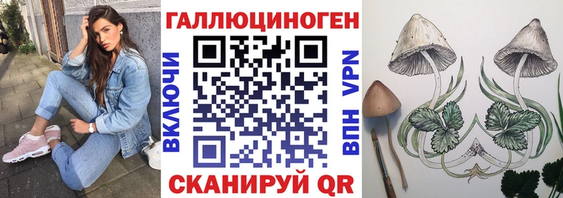 МЕГА зеркало  Ревда  Галлюциногенные грибы прущие грибы 