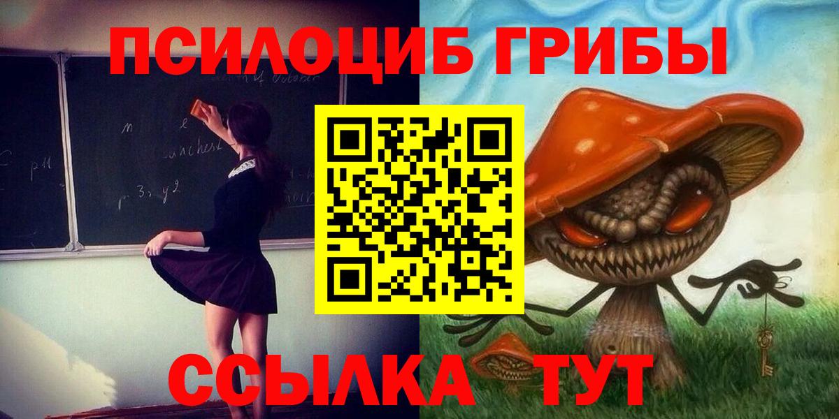 Ревда  Галлюциногенные грибы GOLDEN TEACHER  Псилоцибиновые грибы Magic Shrooms  Вход с VPN 